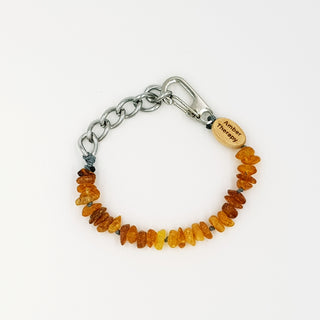 Small Dog Toffee Amber Collar