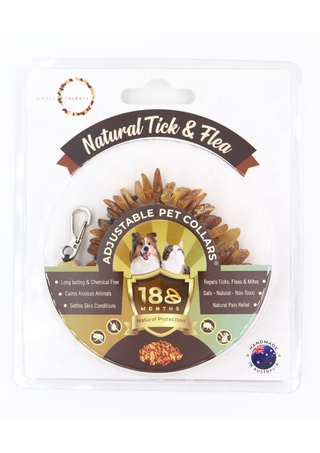 Medium Dog Toffee Amber Collar (Packaged with an Informational Care Card)