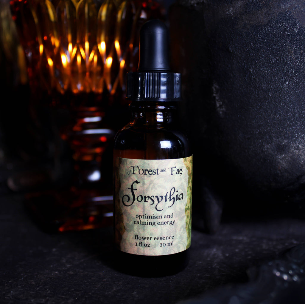 Optimism • Forsythia Flower Essence • Confidence & Serenity