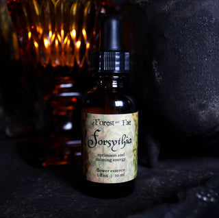 Optimism • Forsythia Flower Essence • Confidence & Serenity