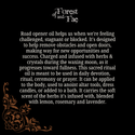 Road Opener Ritual Anointing Oil • Herb Infused Oil • Witchy