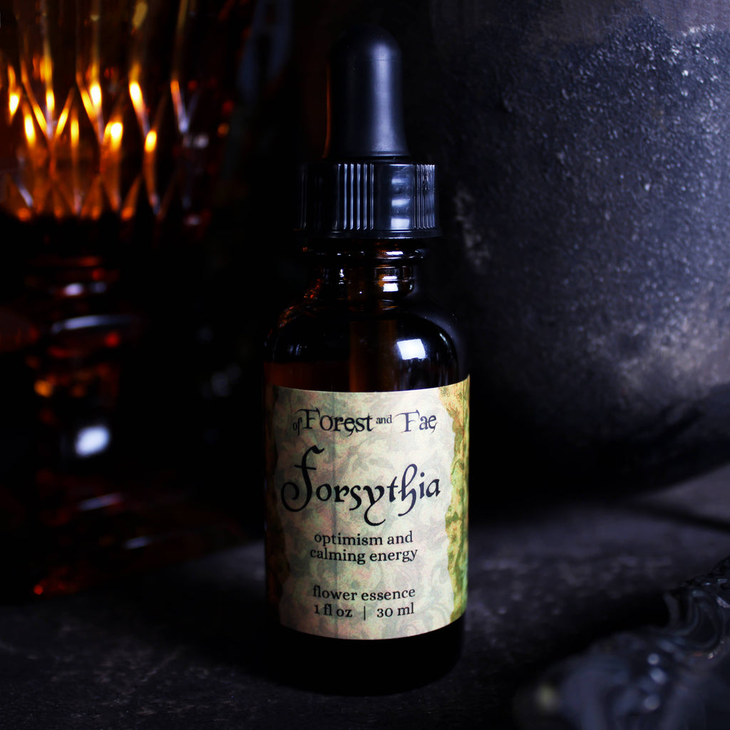 Optimism • Forsythia Flower Essence • Confidence & Serenity