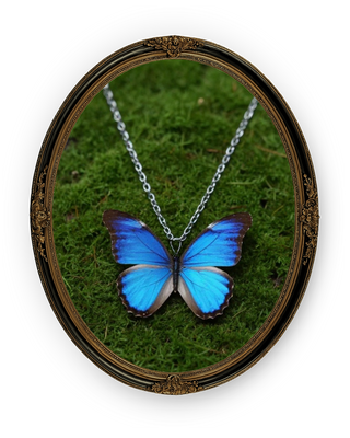 Butterfly Life Magic Necklace