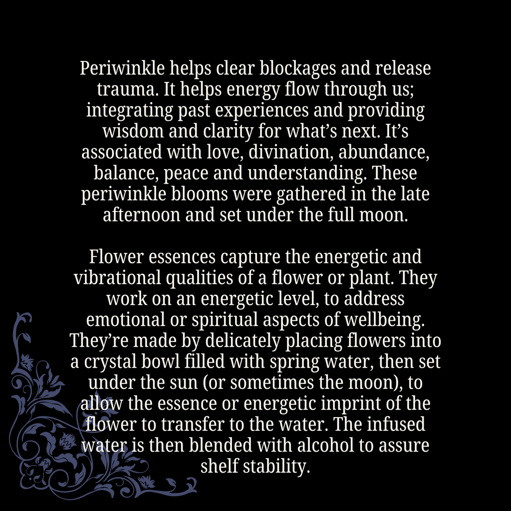 Energy Flow • Periwinkle flower essence • Witchy Intuition
