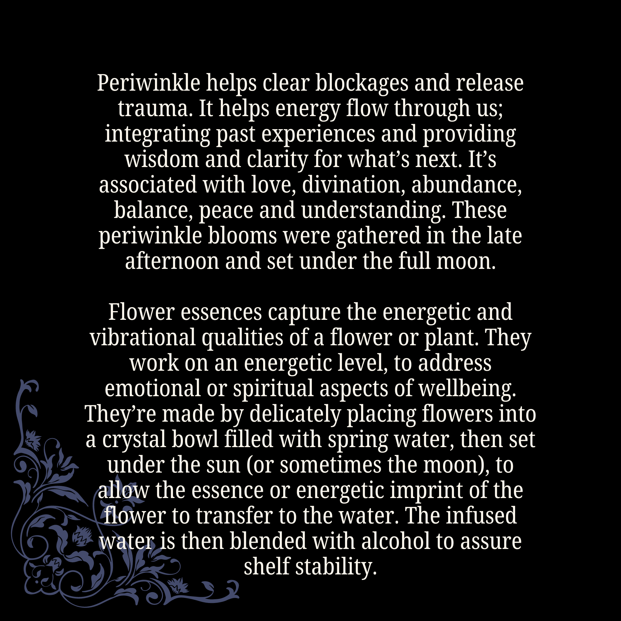 Energy Flow • Periwinkle flower essence • Witchy Intuition