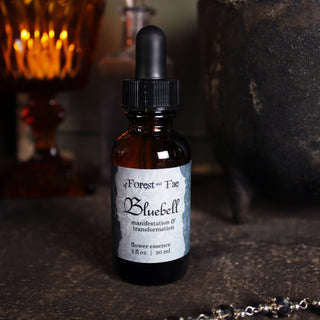 Manifestation • Bluebell Flower Essence • Witchcraft