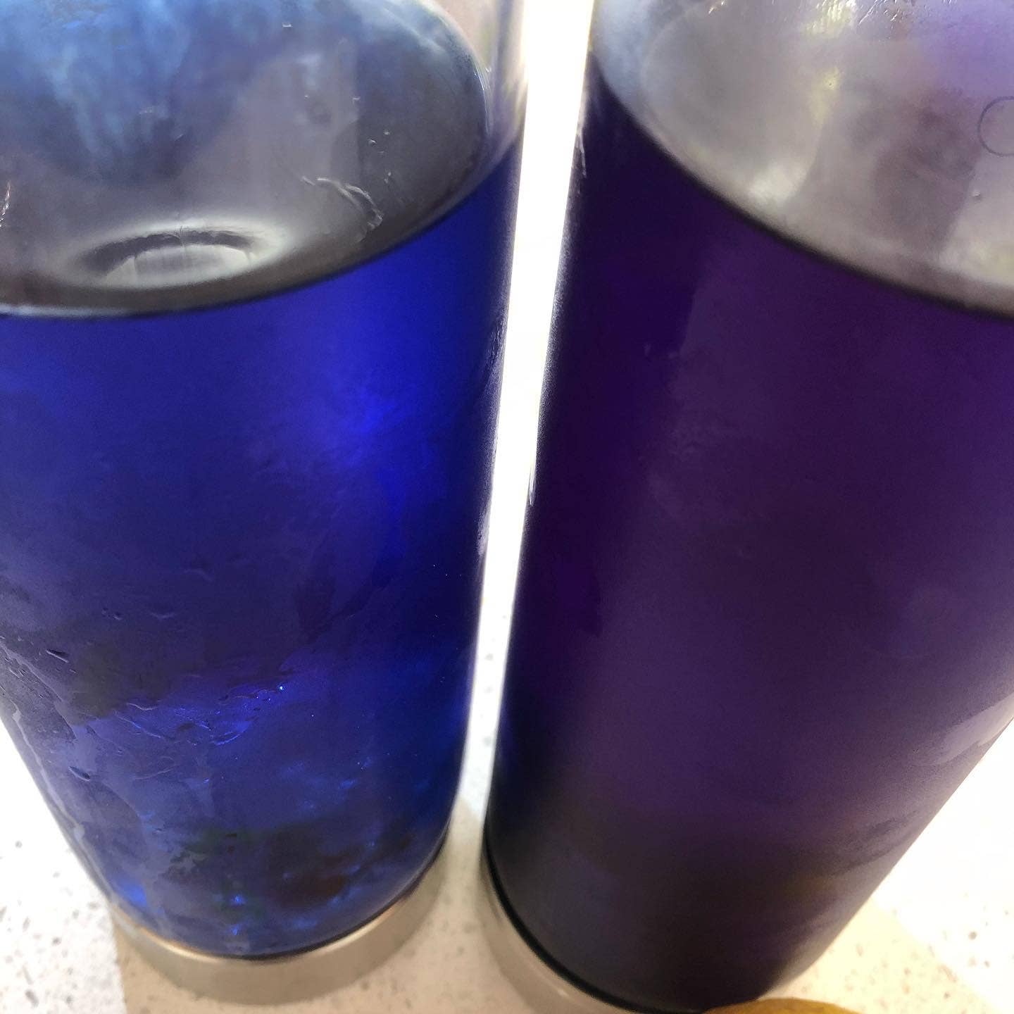 Organic Butterfly Tea