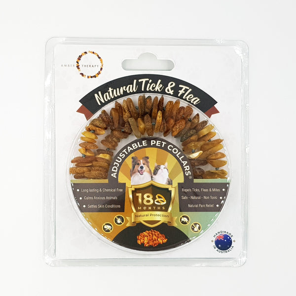Extra Large Dog Toffee Amber Collar (Packaged with an Informational Care Card)