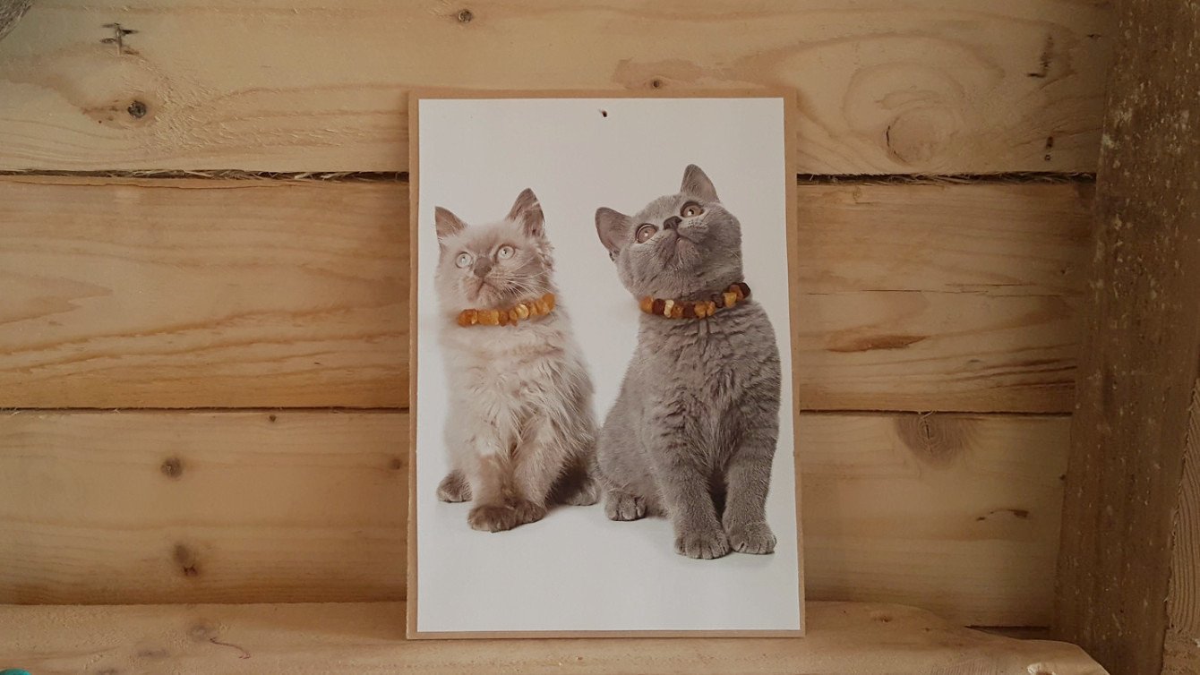 Small Cat Multi Amber Collar