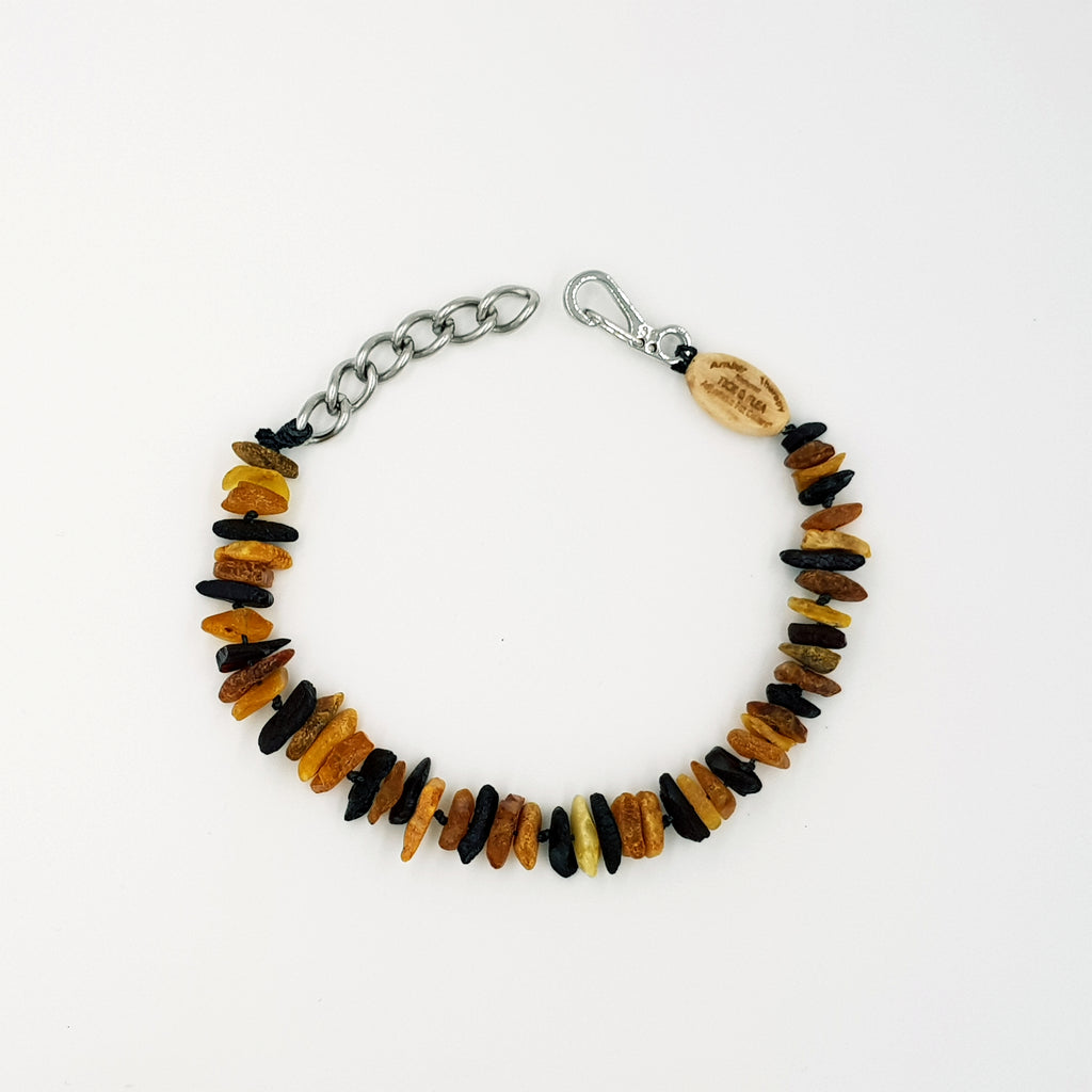 Small Dog Multi Amber Collar