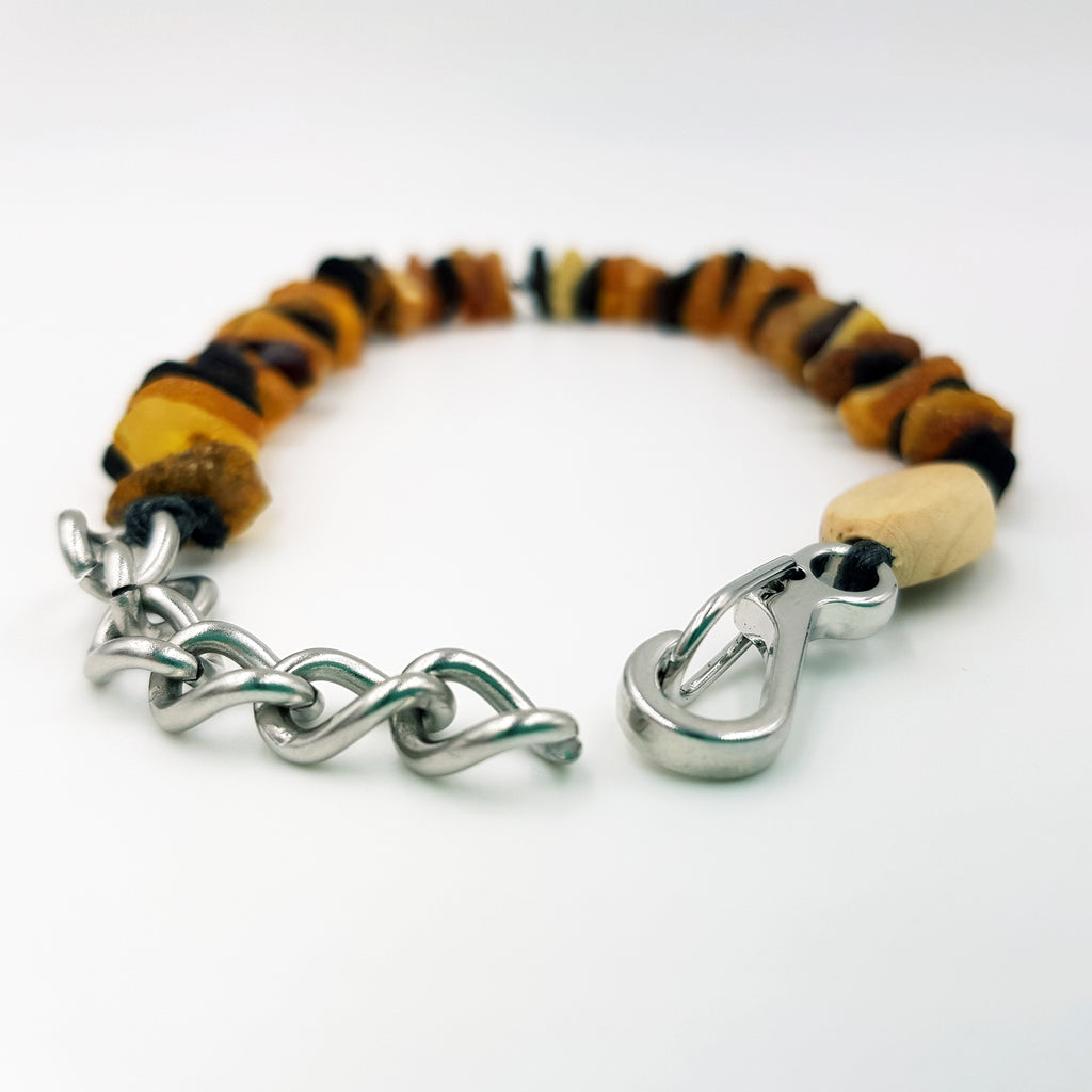 Small Dog Multi Amber Collar