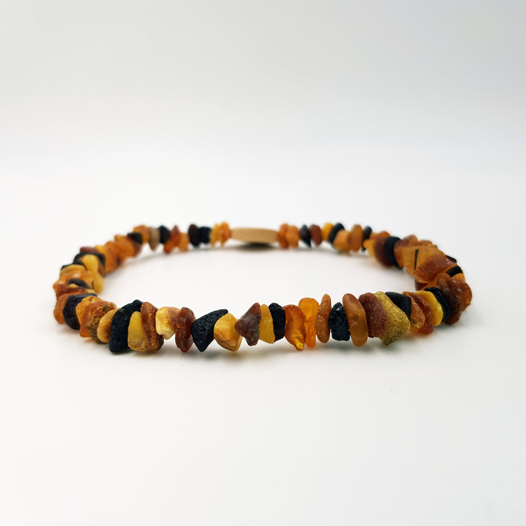 Large Cat Multi Amber Collar