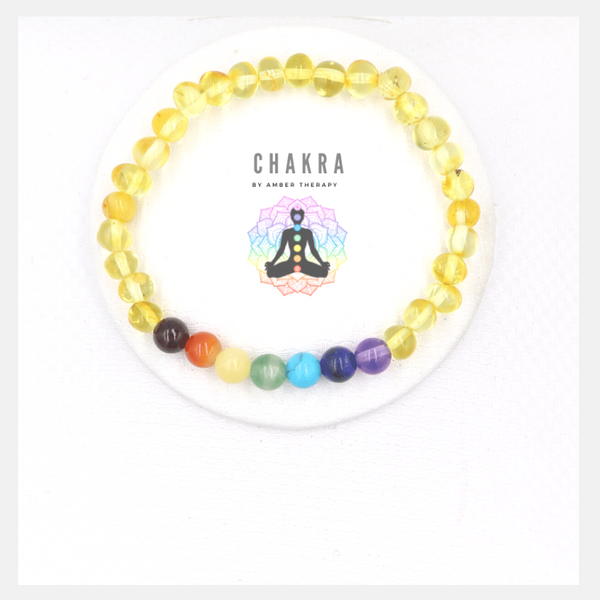 Chakra & Honey Amber Adult Bracelet