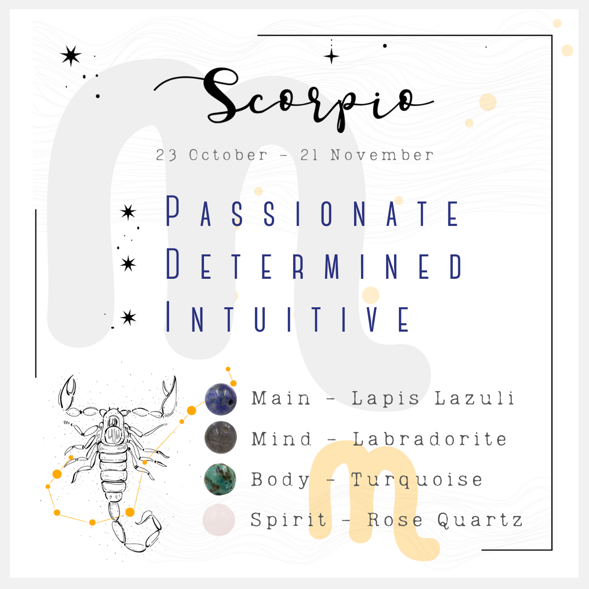 Scorpio Adult Anklet