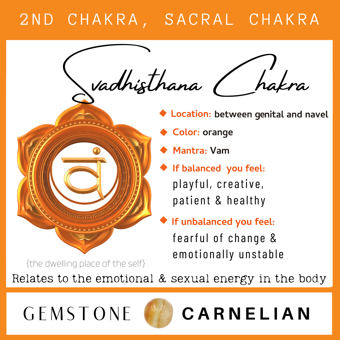 Chakra & Honey Amber Adult Anklet