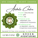 Chakra & Honey Amber Adult Necklace