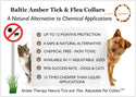 Medium Dog Toffee Amber Collar