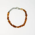 Medium Dog Toffee Amber Collar             (Amber Therapy)