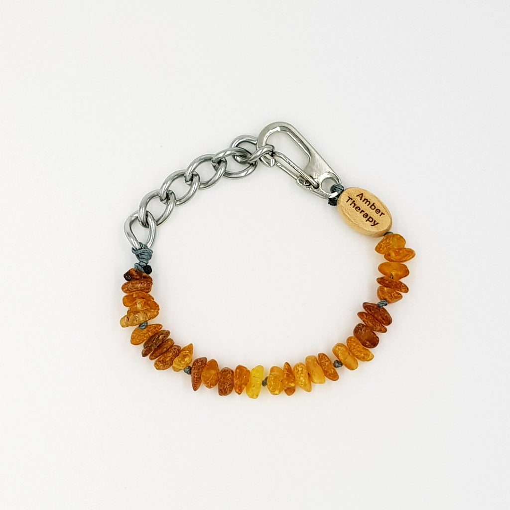 Small Dog Toffee Amber Collar (Amber Therapy)