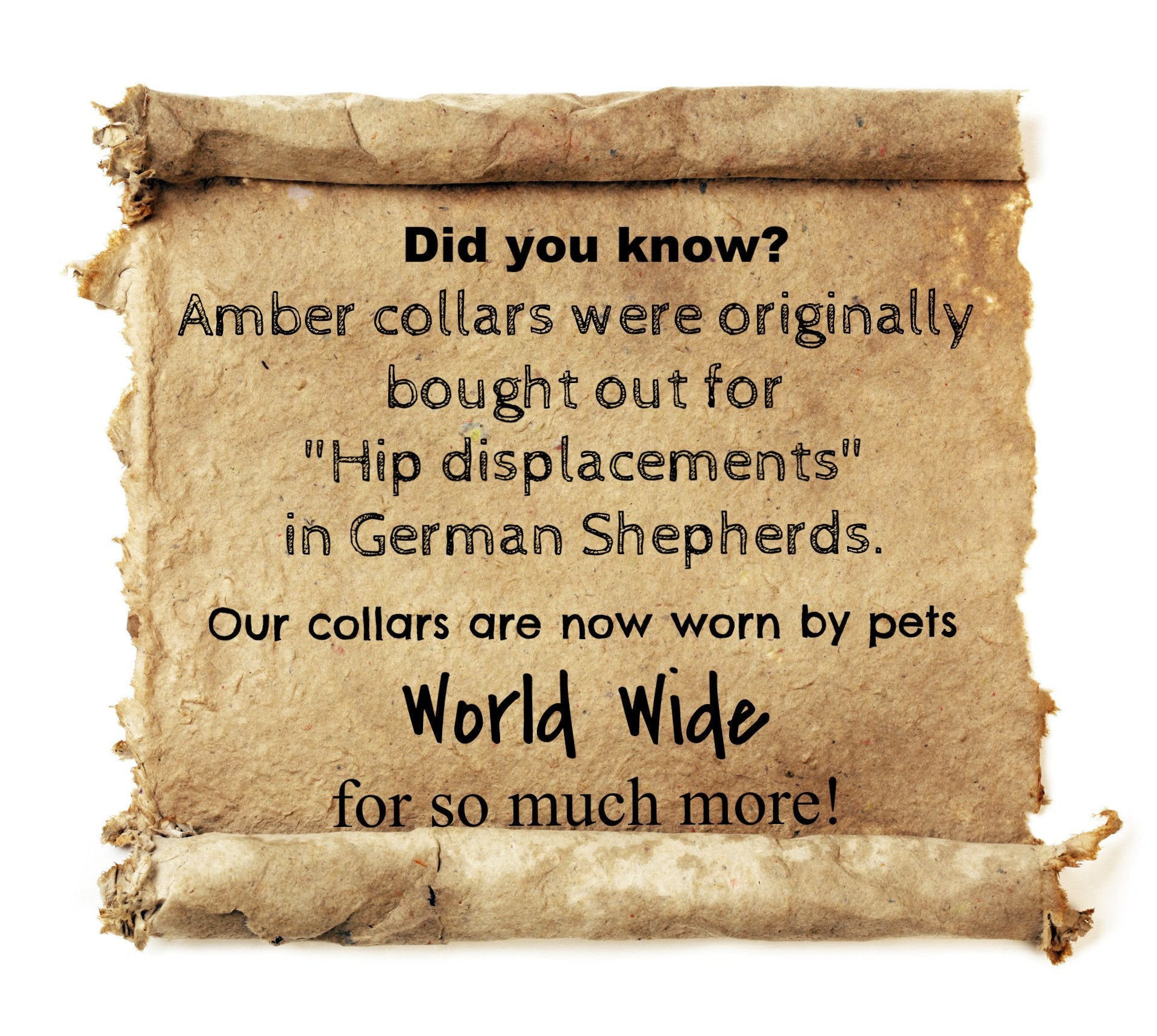 Medium Cat Toffee Amber Collar (Amber Therapy)